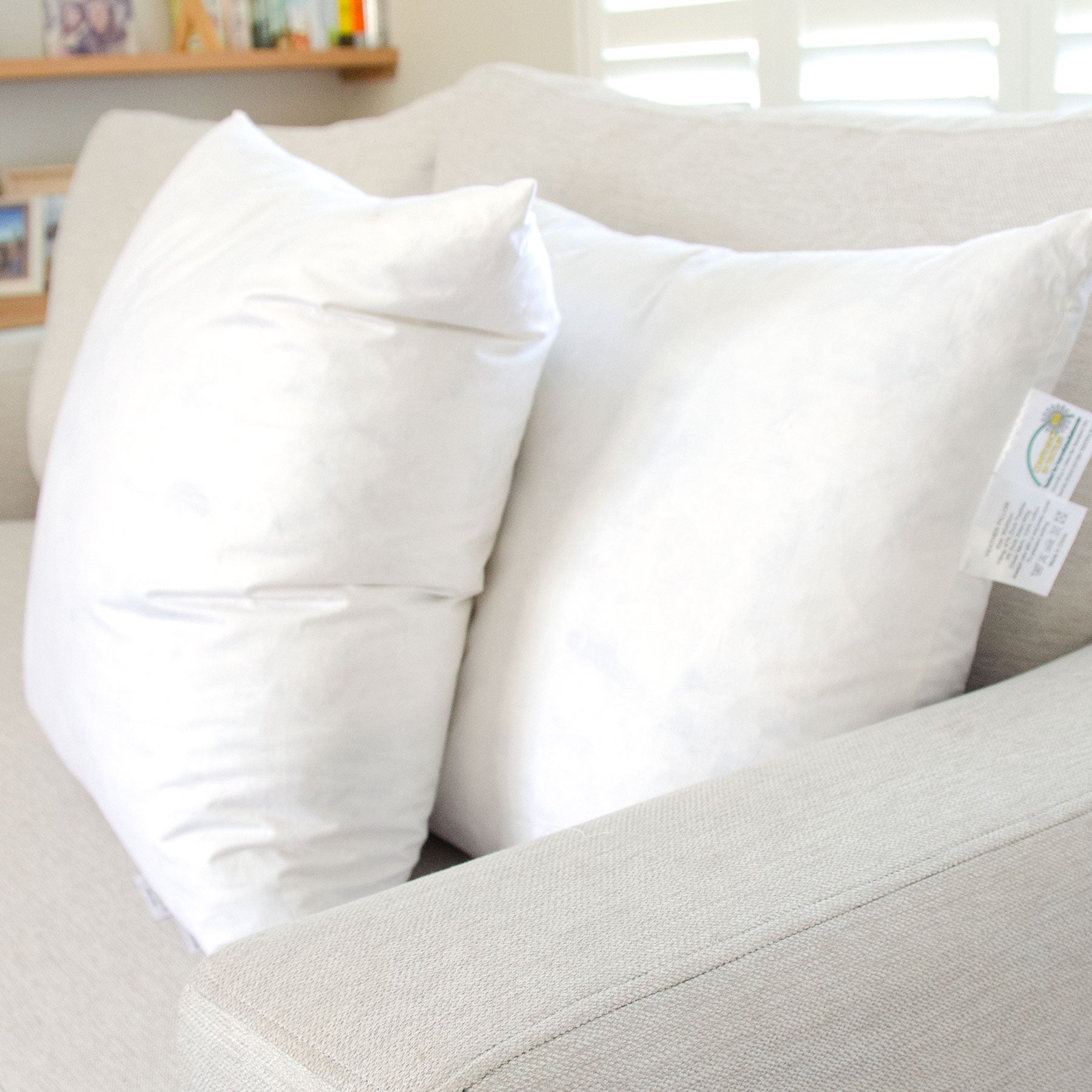 Feather Scatter Cushions - Set of 2