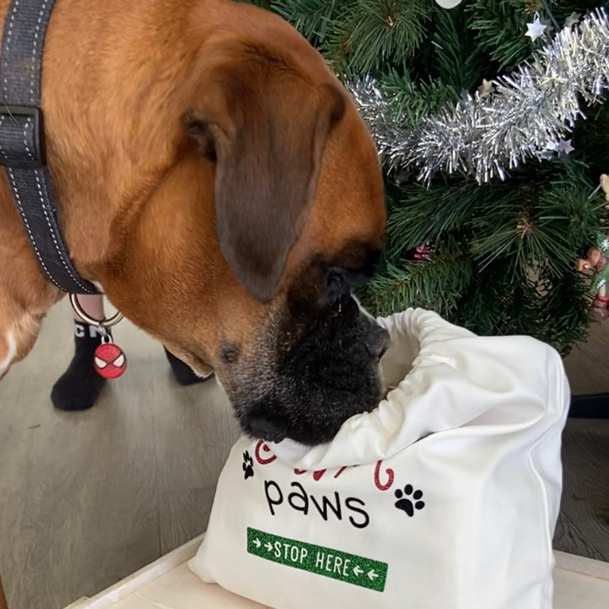 Personalised Pet Christmas Sack