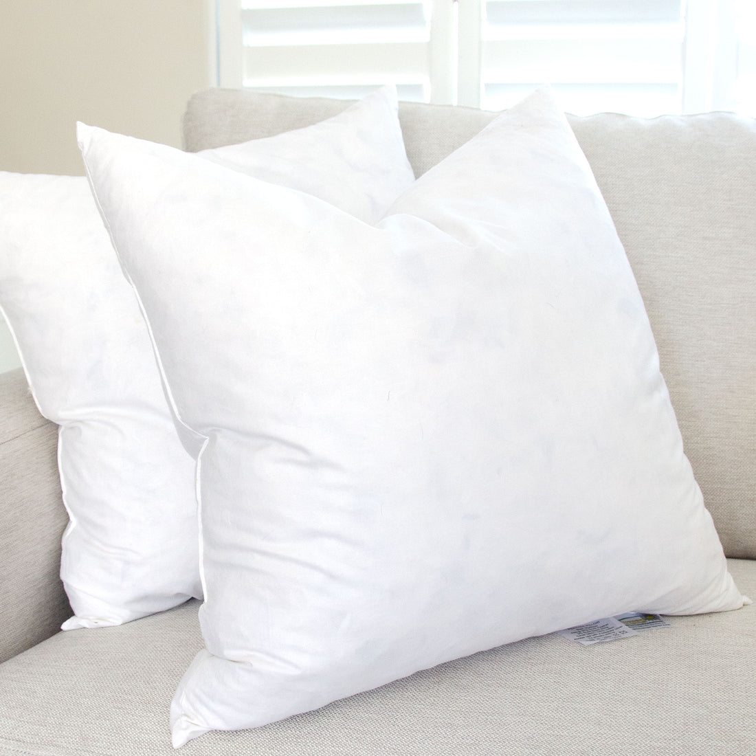 Feather Scatter Cushions - Set of 2