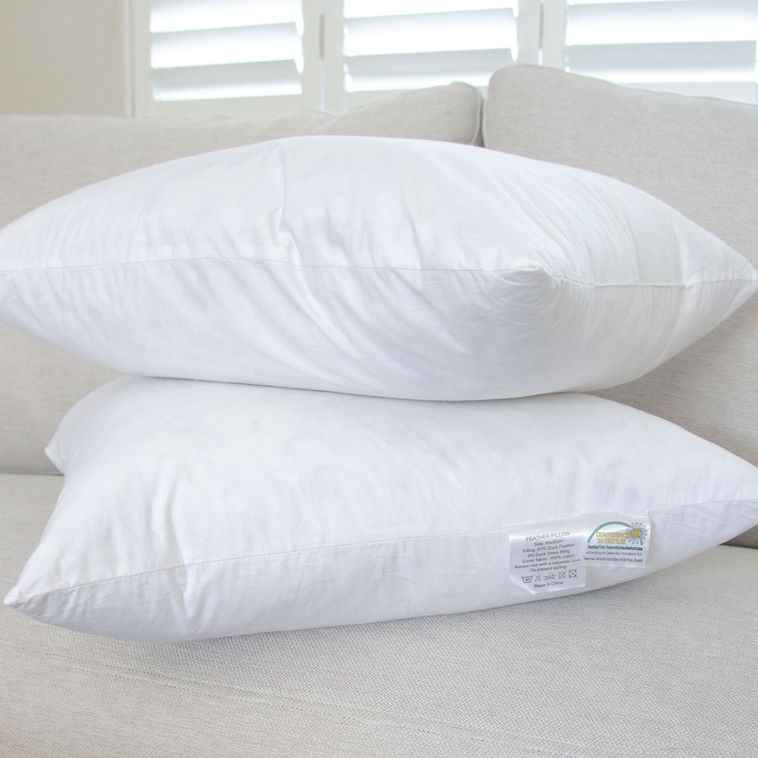 Feather Scatter Cushions - Set of 2